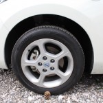 Nissan Leaf Rad