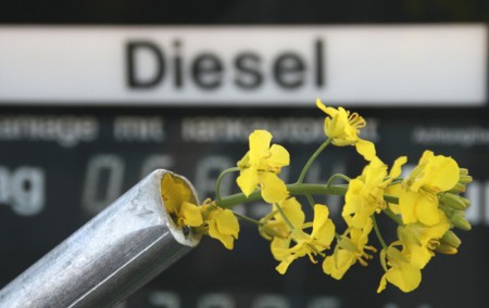 Biodiesel-Biokraftstoff