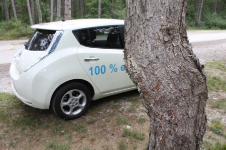 Nissan Leaf Baum