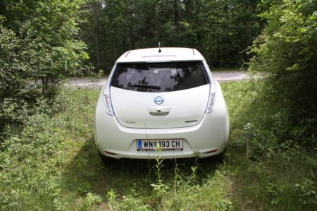 Nissan Leaf Wiese