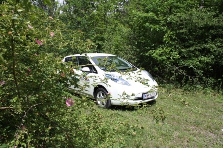 Nissan Leaf Natur