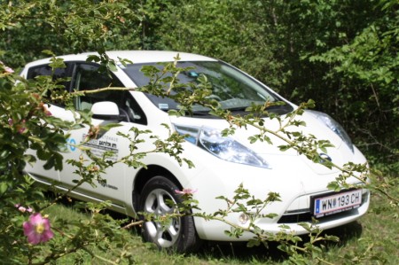 Nissan Leaf Strauch