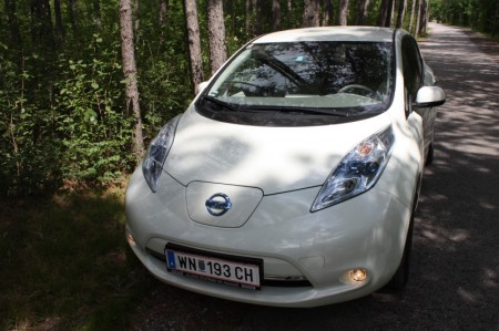 Nissan Leaf Wald