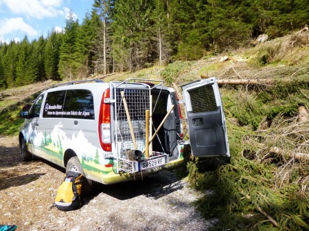 Mercedes-Benz Vito 4x4 Wald